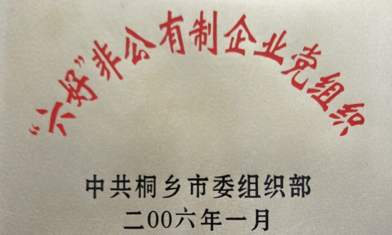 桐鄉(xiāng)市“六好”非公有制企業(yè)黨組織