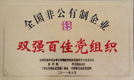 全國雙強(qiáng)百佳黨組織