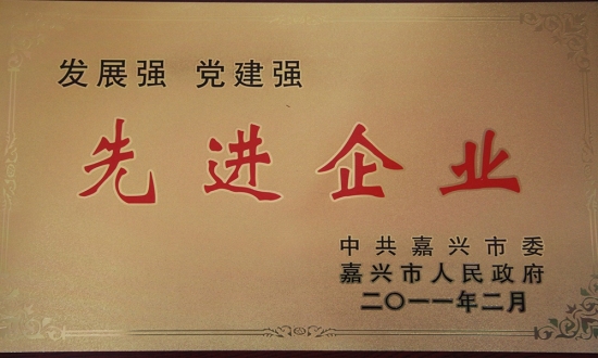 嘉興市雙強(qiáng)先進(jìn)企業(yè)