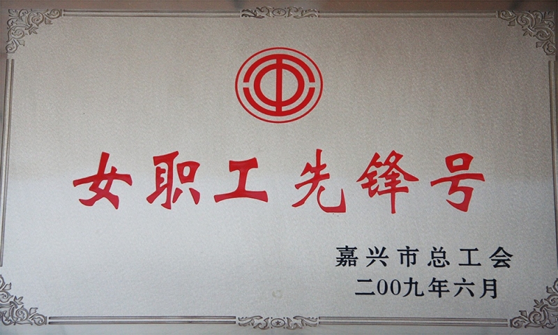 嘉興市女職工先鋒號